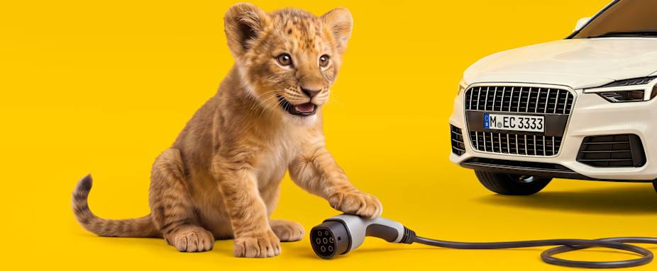 Kleiner Löwe spielt mit Kabel eines Elektroautos - Elektro-Autoversicherung ADAC